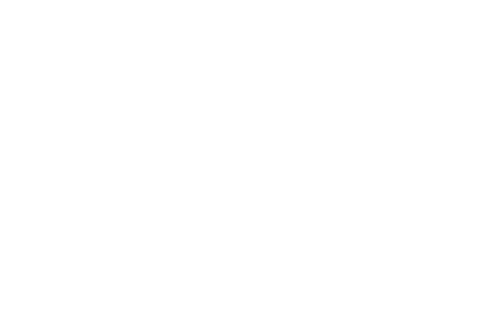 Axum House Logo